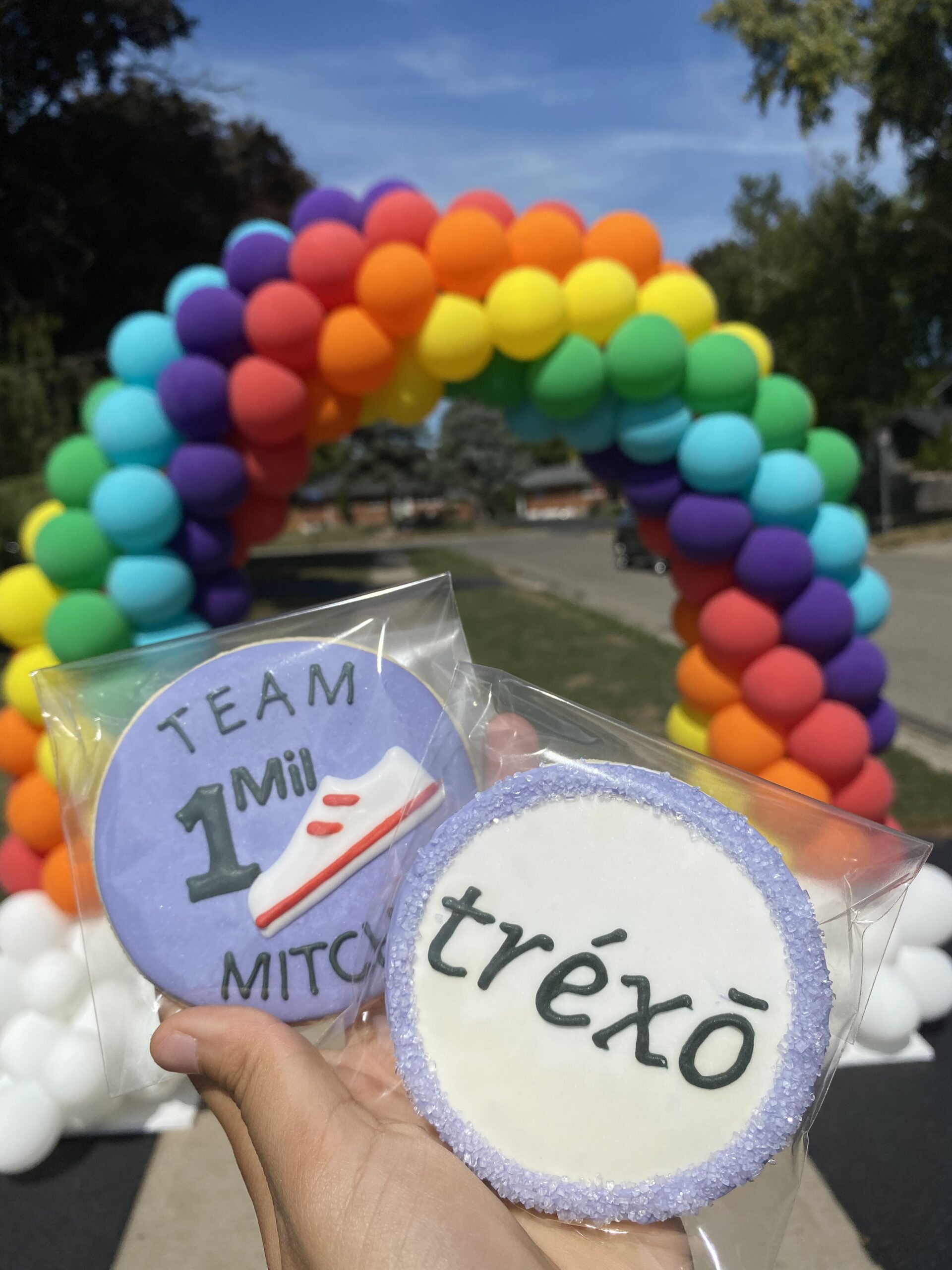 Cookies and the rainbow arch at the celebration